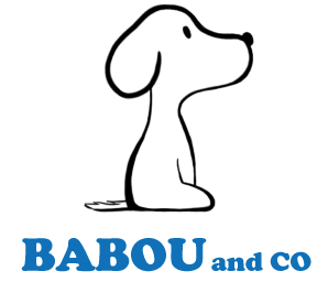 babouandco.fr